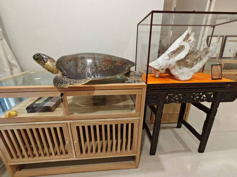 3济南市中心医院—— 中医药文化宣教基地照片.jpg